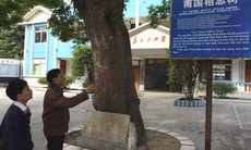 Làng Việt trên đất Trung Hoa